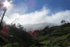 Nebelwald in Chugchilan