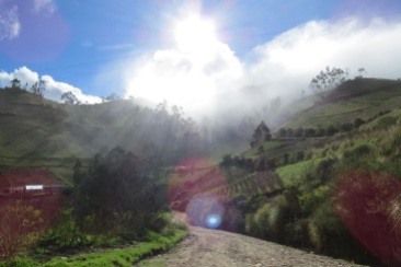 Nebelwald in Chugchilan